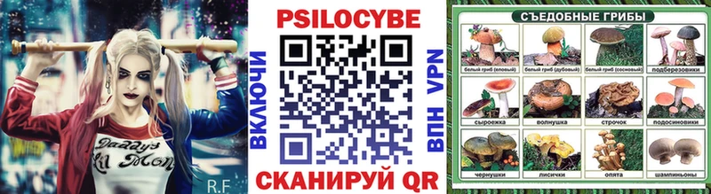 купить наркоту  Кириллов  OMG маркетплейс  Галлюциногенные грибы Cubensis 